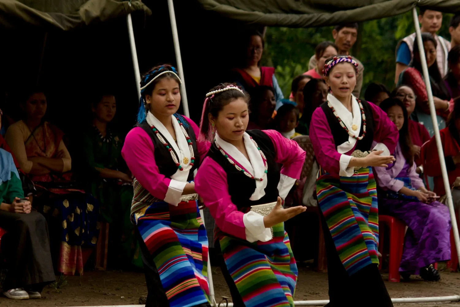 "Traditional Sikkimese women performing folk dance in colorful attire at cultural event in Sikkim."